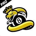 snake8ballpoolapp is swapping clothes online from 