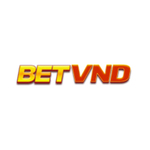 betvndbeauty is swapping clothes online from 