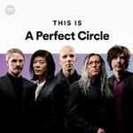 aperfectcirclemerch is swapping clothes online from 
