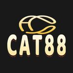 cat88dev is swapping clothes online from 