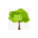 ejcla is swapping clothes online from 