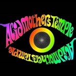 acidmotherstemplemerch is swapping clothes online from 
