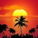 novadubois is swapping clothes online from 