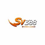 sv388 is swapping clothes online from 