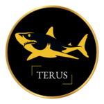 terustechnology is swapping clothes online from 