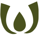 wallpapers01 is swapping clothes online from 