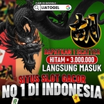 liatogel is swapping clothes online from 