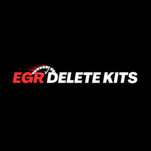 egrdeletekitsnet is swapping clothes online from 