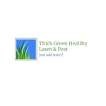 thickgreenhealthy is swapping clothes online from 