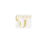 sarayuclinics is swapping clothes online from 