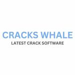 crackswhale is swapping clothes online from 