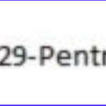 foram puturi is swapping clothes online from 