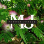 mimosajungle is swapping clothes online from 