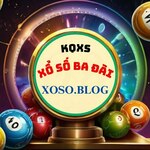 xosobadai is swapping clothes online from 