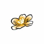 magnoliahawaii is swapping clothes online from 
