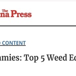 veronapressthcgummies is swapping clothes online from 