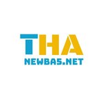 newba5 is swapping clothes online from 