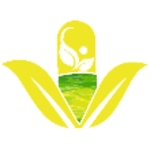 vitacures is swapping clothes online from 