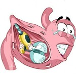 thuocdadaychuy is swapping clothes online from 