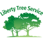 libertytree is swapping clothes online from 
