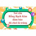 Rồng bạch kim - Soi cầu 247 is swapping clothes online from 