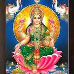 ravimehera is swapping clothes online from 