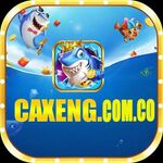 caxeng is swapping clothes online from 