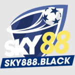 sky888black is swapping clothes online from 