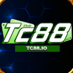 TC88 is swapping clothes online from 