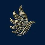 caraworldcamranh_org is swapping clothes online from 