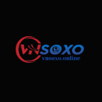 vnsoxoonline is swapping clothes online from 