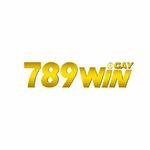 789wingay is swapping clothes online from 