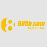 888bllc is swapping clothes online from 