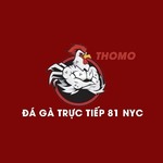 dagatructiep81nyc is swapping clothes online from 