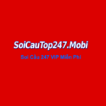 soicau247mobi is swapping clothes online from 