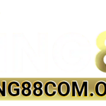 king88comorg is swapping clothes online from 