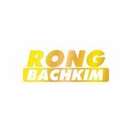 rongbachkim247sh is swapping clothes online from 