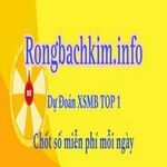 rongbachkiminfo is swapping clothes online from 