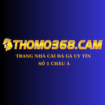 thomo368 is swapping clothes online from 