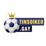 tinsoikeogay is swapping clothes online from 