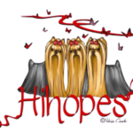 hihopesyorkshireterriers is swapping clothes online from 