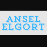 anselelgortmerch is swapping clothes online from 