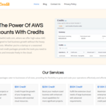 AWS Buy Accounts with Credits is swapping clothes online from USA, New York