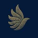 caraworldcamranh12 is swapping clothes online from 