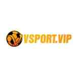 vsportbz is swapping clothes online from 