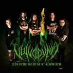 vulvodyniamerch is swapping clothes online from 
