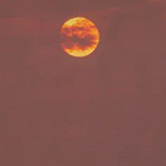 visitkeralatoday is swapping clothes online from 