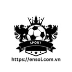 ensolcomvn is swapping clothes online from 