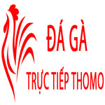 Đá Gà Trực Tiếp Thomo Hôm Nay is swapping clothes online from 