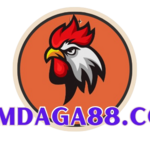 xemdaga88 is swapping clothes online from 